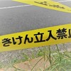 前任者に「教えるのは嫌だね！」と言われたがそれこそが成長の証だった！