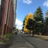 紅葉の大学キャンパス見学