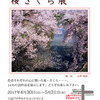 日本の春・桜さくら展（写真展）開催中