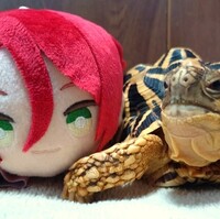 美男高校地球防衛部ハイカラ! 寝そべりぬいぐるみ - 悪魔と天使と快楽