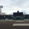 文豪スイング　正岡子規『ベースボール』出だしだけ　それと、くろいぬin甲子園球場内の写真