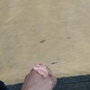 娘と過ごす時間のありがたさ。