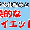 やせる仕組みと効果的なダイエットについての解説動画