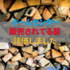 ホームセンターで販売されているキャンプに使える薪の値段と薪について評価してみました　2020年