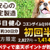 今看護実習って患者にも看護学生にも危険だけど終息の目途が立たんしどうしたらいいんだろう