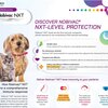 アメリカの獣医はペットに「レプリコンワクチン」を実験的に使用しているそうです