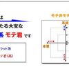 リアルモテ非モテ診断 モテ非モテドットコム 