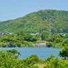 壺の池（三重県御浜）