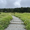麦草峠～白駒池～にゅう①　青苔荘でテント泊する　2024.8.14～8.15