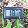 バケツ稲2023　朝の土水温度