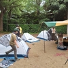 ★ボーイ隊訓練キャンプ⛺中！！★