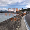 江田島にサイクリングしてきた！その1