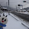 雪が積もりました(^^♪