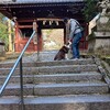 やった～😵スミスさんと神峰山寺へ