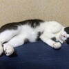 マイナンバーカードの更新と通院と