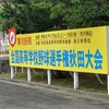 金足農業、2018年以来の甲子園へ！秋田商業との激闘を制す