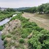 アクセスすこぶる良好！入間川土手の雑草がきれいさっぱり