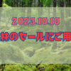 2023.10.10　密林のセールにご用心