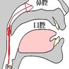 男性は失ってしまっている大事な共鳴