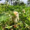 ふれあい動物園は動物との接し方を学ぶ場でもあるのだ🤨