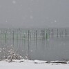 近江　雪景色の湖南をゆくその２