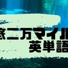 古典小説「海底二万マイル」の英単語６００選【多読、洋書、SSS】