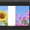 2枚の写真を自然につなぎ合わせる方法【Photoshop】