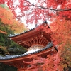 懸案の大威徳寺で紅葉見物