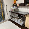 黒柴 🐶 つん