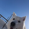 青空