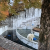 【混雑注意】秋の東山動物園＆植物園ライトアップ