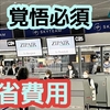 【覚悟必須】日本への帰省で半年分の生活費がスッ飛ぶ現実