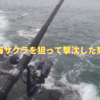 【海サクラマス撃沈の旅】