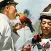 岩合光昭さんの語る「動物と平和」