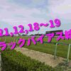 2021,12,18～19 トラックバイアス結果 (中山競馬場、阪神競馬場、中京競馬場)