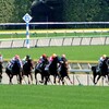 2015ジャパンカップ6頭予想～外国馬参考レース動画あり〼【競馬】