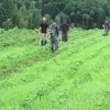 農園日誌ー畑の侍達、前編