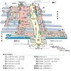 JR品川駅をとてつもなく不便にしたJR東海とJR東日本のエゴイズム（訂正あり）