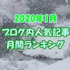 【ブログ内人気記事】2020年1月の月間ランキング発表！