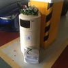 駐車場の花