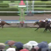 ７月１４日公開予想⇒複勝630円的中