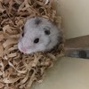 しろあん587日目