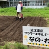 2024年7月　ひまわりの種植え
