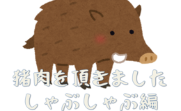 記事を見る