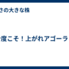今度こそ！上がれアゴーラ！