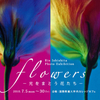 Flowers -光をまとう花たち-展 in 国際教養大学内カレッジカフェ