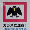 カラスのキャラは何故クチバシが黄色なのか？