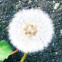あるるる～と。