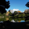 冬晴れの庭園②『清澄庭園』東京都江東区清澄白河