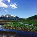 栄養・健康・倹約ブログ